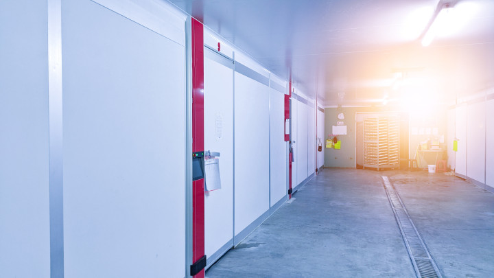 AdobeStock 484637151 v2