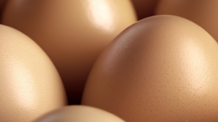 Brand eggs for website