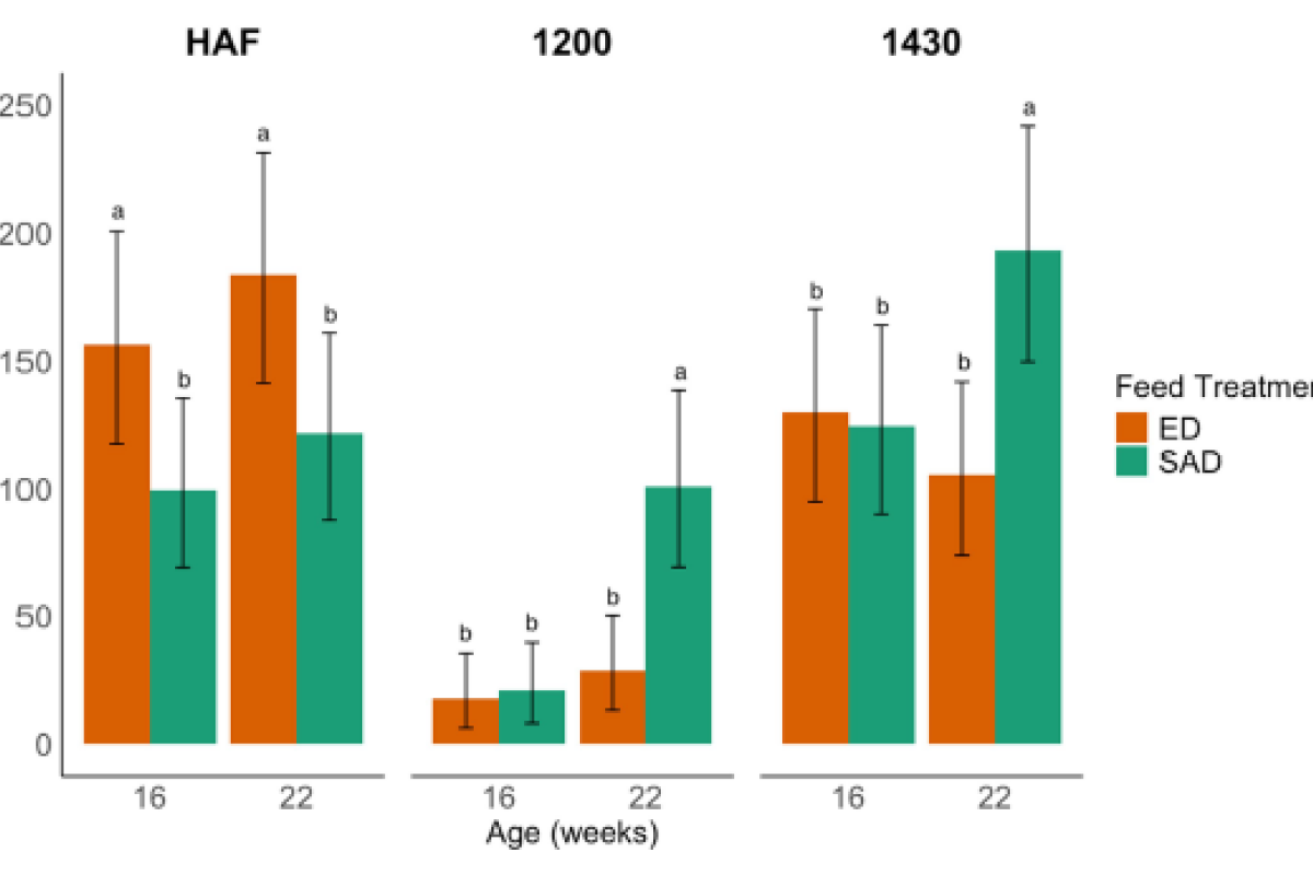 The effect of feed and water provision strategies on broiler breeder pullet performance and welfare<br />

